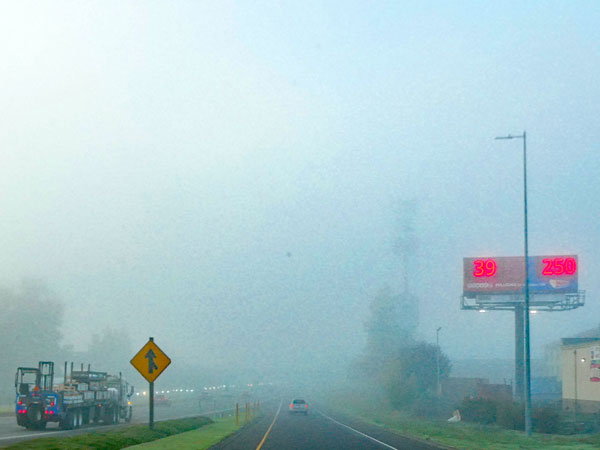 south on the I-5 after north of eugene, or on oct 29, 2024