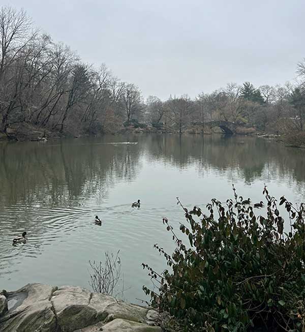 stephen perkins' photo of what he saw at central park in new york city, ny on march 7, 2024