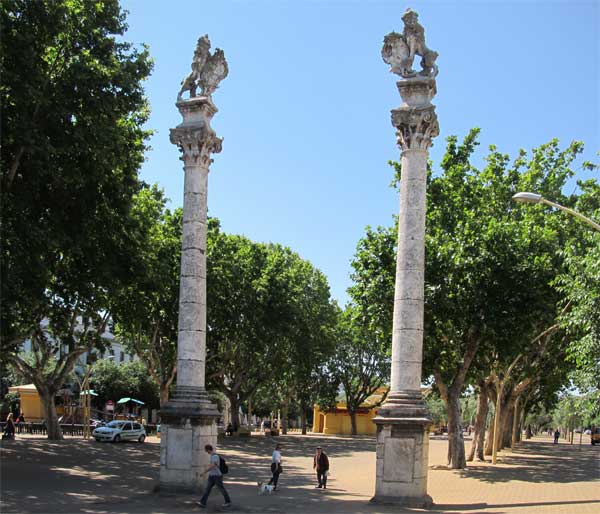 the north end of the alameda de hercules in seville, spain