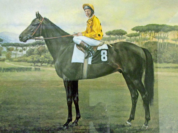 italian race horse weinor