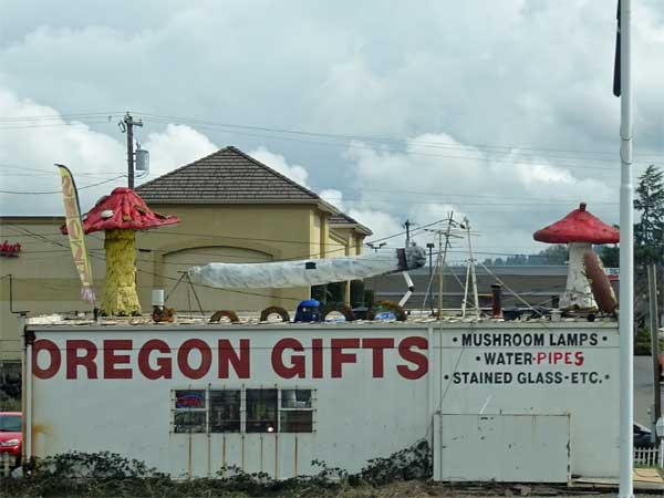 gift shop in southern oregon I always trip on, march 23, 2019