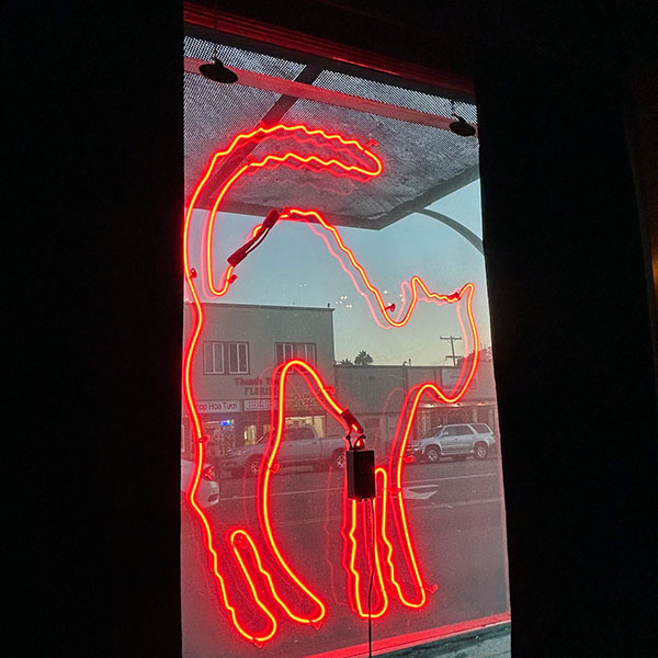 one window of 'the black cat bar' in san diego, ca on sep 19, 2026 by mike baggetta