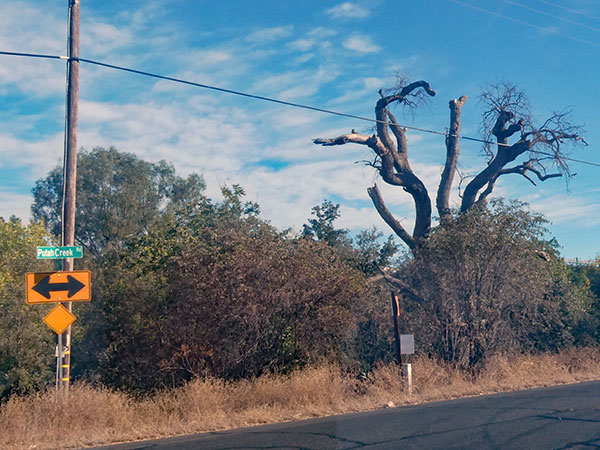 on the way from oakland, ca to talent, or on sep 25, 2026