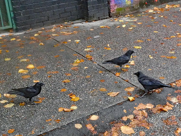 vancouver, bc, canada on setpember 29, 2026