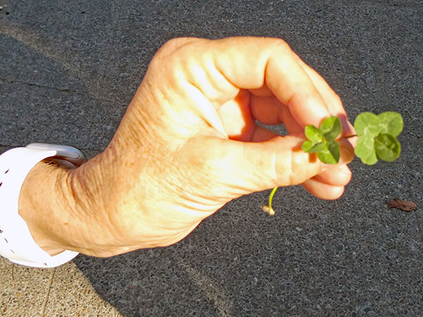 hol w/four-leaf clovers in front of 'strum pdx' in portland, or on october 2, 2026