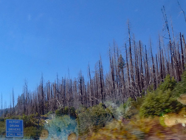 evidence of fire on the 'redwood highway' from grants pass, or to arcata, ca on october 6, 2026