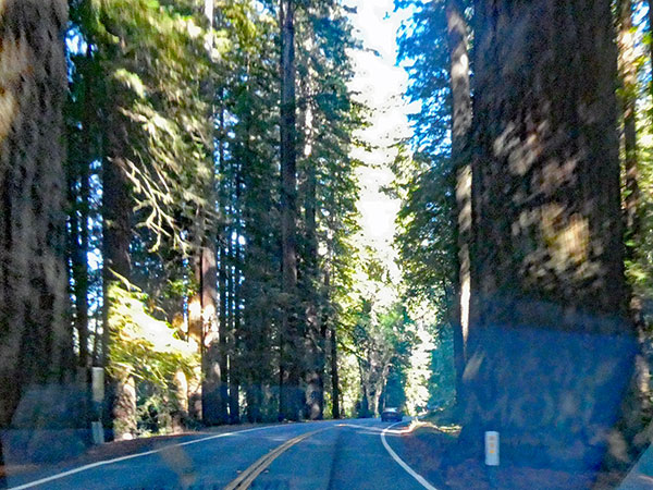 on the 'redwood highway' from grants pass, or to arcata, ca on october 6, 2026
