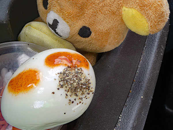 hardboiled egg before being chowed by watt in gilroy, ca on october 9, 2026