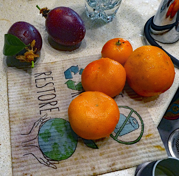 fruit from dr robbin + dr ray at their pad in oakland, ca on october 9, 2026